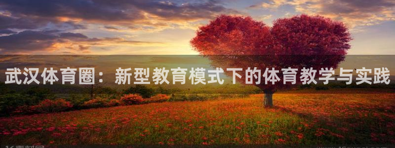 公海赌赌船官网下载平台注册流程图：武汉体育圈：新型教