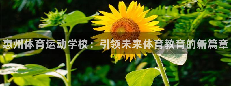 公海赌赌船官方正版app娱乐：惠州体育运动学校：引领未来体育