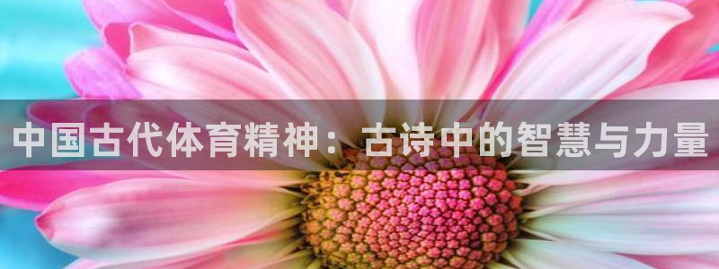 公海赌赌船官网下载平台是正规平台吗：中国古代体育精神：古诗中