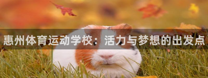 公海赌赌船官网下载平台假的吗是真的吗吗：惠州体育运动学校：活