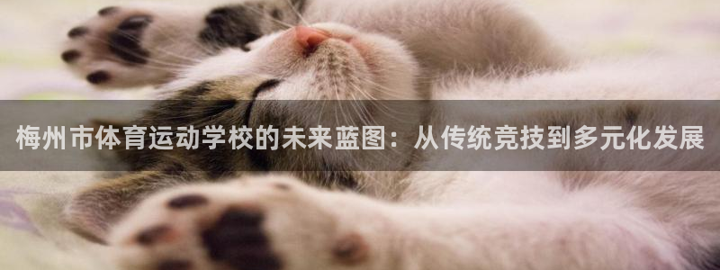 海南公海赌赌船官网下载发展怎么样：梅州市体育运动学校的未来蓝