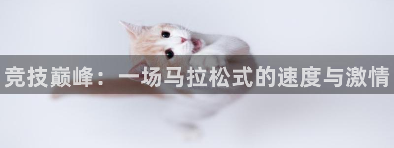 公海赌赌船官网下载招商：竞技巅峰：一场马拉松式的速度与激情
