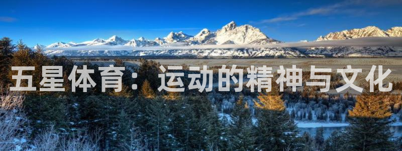 公海赌赌船官方正版app集团简介：五星体育：运动的精神与文化