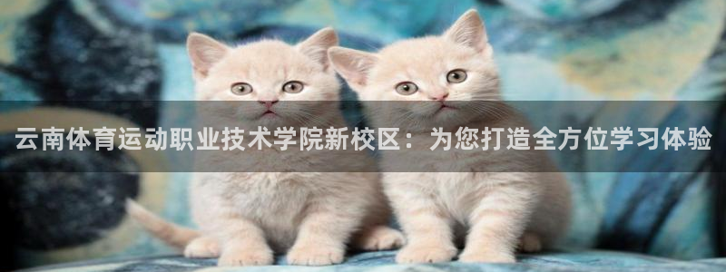 公海赌赌船官网下载平台注册流程图：云南体育运动职业技术学院新