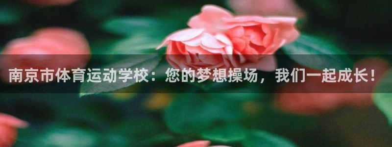 公海赌赌船官方正版app娱乐首页网站大全：南京市体育运动学校