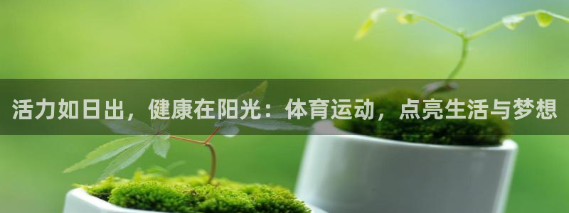公海赌赌船官网下载平台注册流程图：活力如日出，健康在