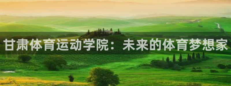 德国公海赌赌船官方正版app集团：甘肃体育运动学院：未来的体
