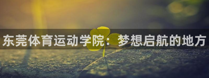 公海赌赌船官方正版app开户