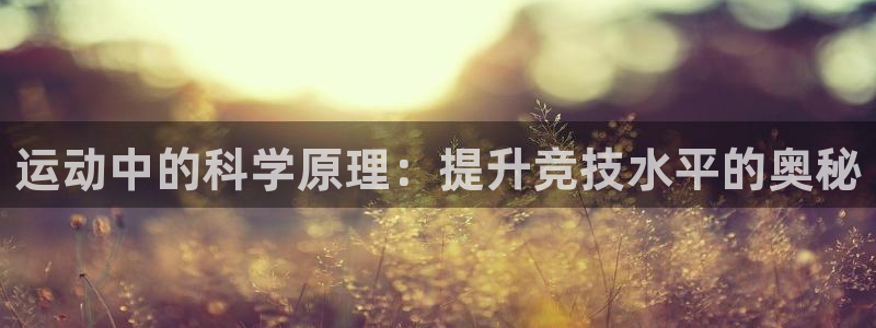 公海赌赌船官方正版app集团E.ON