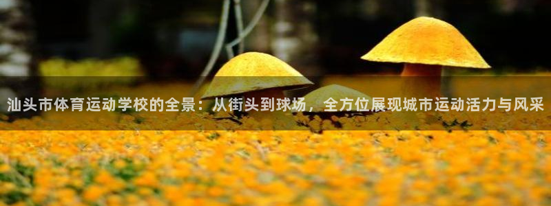 公海赌赌船官网下载招商电话：汕头市体育运动学校的全景