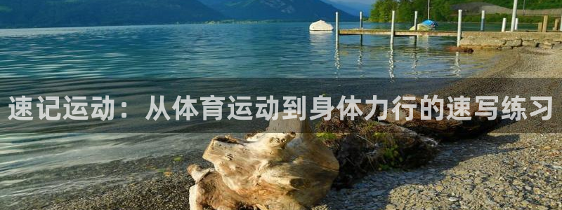 公海赌赌船官方正版app娱乐40996：速记运动：从