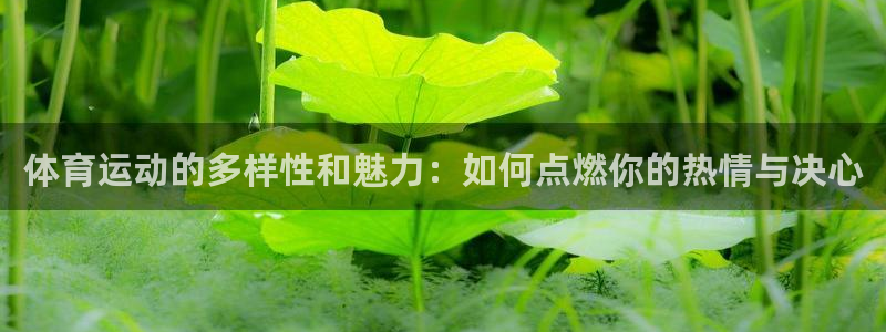 公海赌赌船官方正版app娱乐首页网站大全：体育运动的