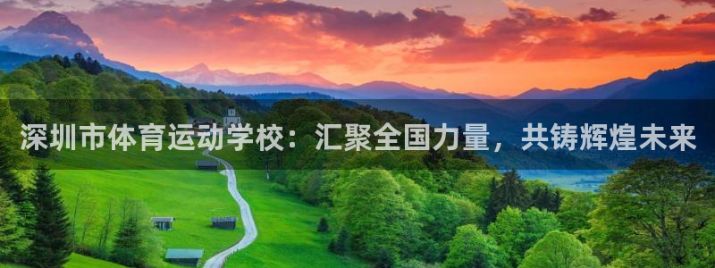 德国公海赌赌船官方正版app集团：深圳市体育运动学校