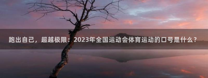 公海赌赌船官网下载招商电话地址：跑出自己，超越极限：2023