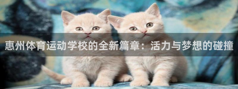 公海赌赌船官网下载平台是正规平台吗知乎：惠州体育运动