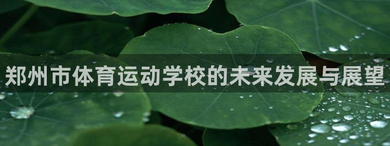 公海赌赌船官网下载招商电话：郑州市体育运动学校的未来