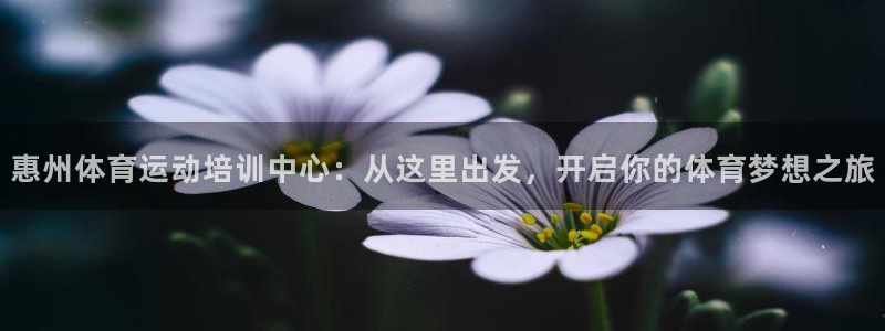 公海赌赌船官方正版app娱乐网站：惠州体育运动培训中