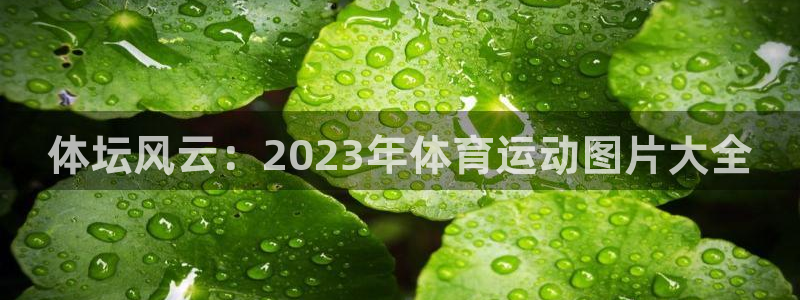 公海赌赌船官网下载是干嘛的公司：体坛风云：2023年