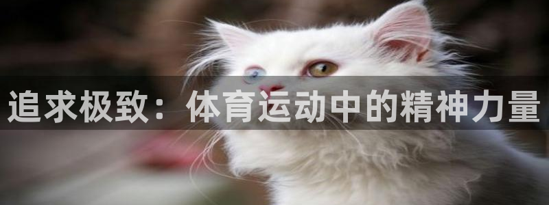 公海赌赌船官网下载开户：追求极致：体育运动中的精神力量