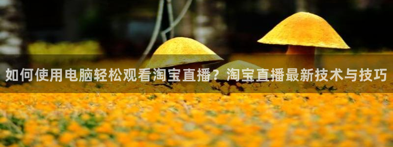 88看球nba线上直播