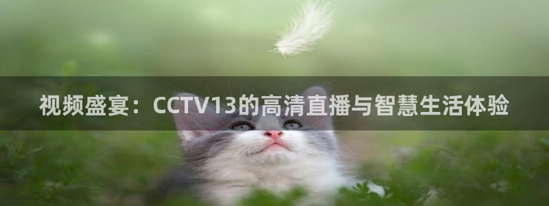 nba直播_足球直播_免费在线直播_88看球官网：视频盛宴：CCTV13的高清直播与智慧生活体验