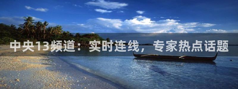 88看球nba直播间：中央13频道：实时连线，专家热点话题