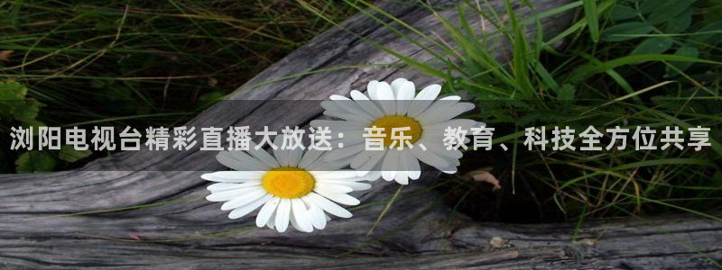 88看球直播官网：浏阳电视台精彩直播大放送：音乐、教育、科技全方位共享