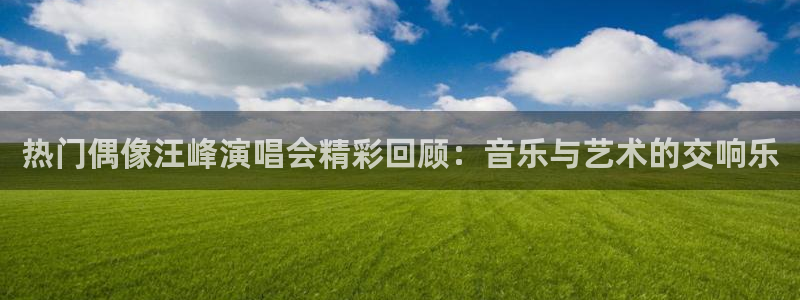 88看球免费nba直播：热门偶像汪峰演唱会精彩回顾：音乐与艺术的交响乐