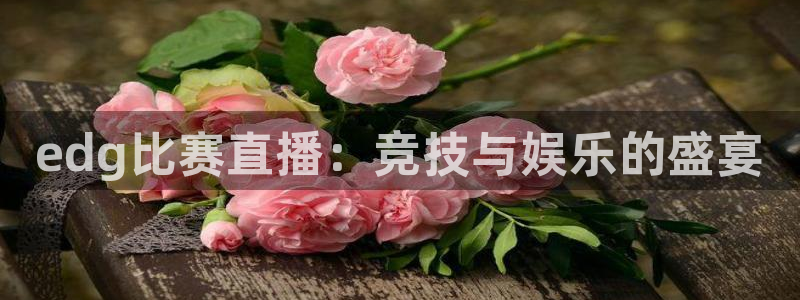 88看球直播(无插件)：edg比赛直播：竞技与娱乐的盛宴